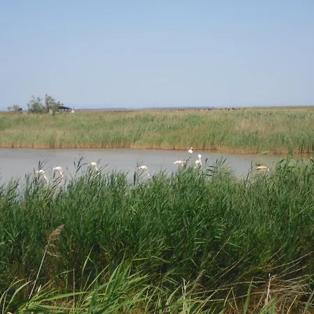 chambre les flamants-3